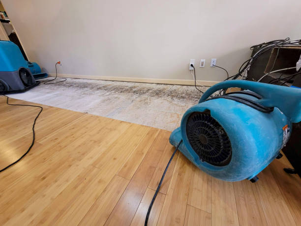Professional Structural Drying technician working in Flora, IN